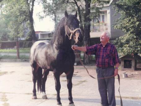 Michał Babral jako hodowca koni.